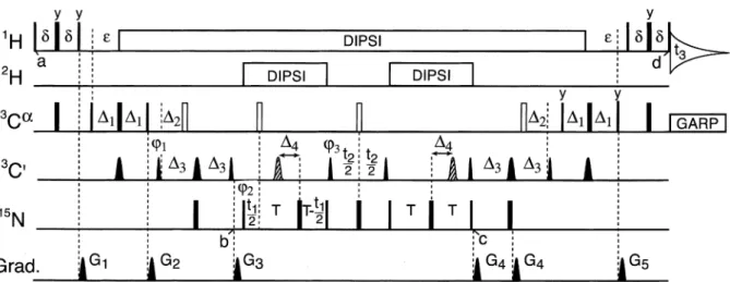 Figure 1. Pulse scheme of the HA(CACO)NCO experiment used to detect h3 J NC  connectivities in the case of deuterated backbone H-bonds of proteins