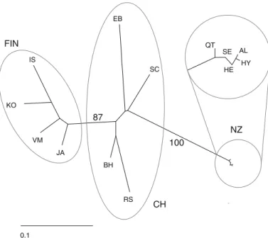 Fig. 2 Unrooted Neighbour-Joining tree of 13 populations originating from Switzerland (CH), Finland (FIN) and New Zealand (NZ) based on Cavalli-Sforza genetic distances