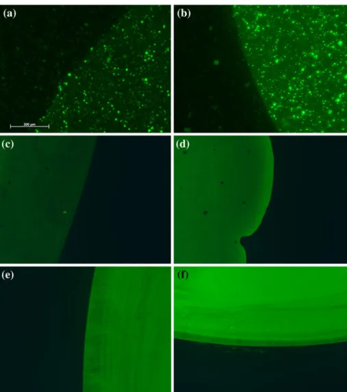 Fig. 2 Fluorescence images of glass samples half  Piranha-cleaned (left side) and half ethanol-cleaned (right side) after incubation with a labeled AGP and b labeled BSA