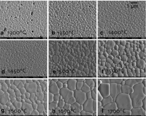 Fig. 4 Surface topography of sintered zirconia at a – c) 1,650°C (1st row) and d – f 1,700°C (2st row)