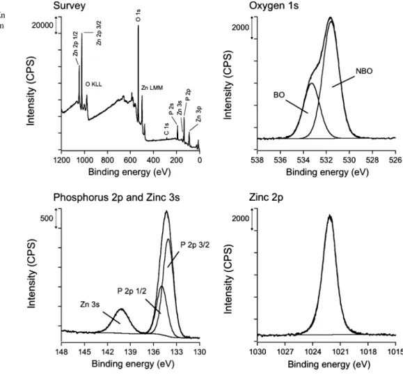 Fig. 2 XPS high-resolution spectra of O 1s, P 2p, Zn 3s, Zn 2p signals and survey spectrum acquired on as received zinc metaphosphate
