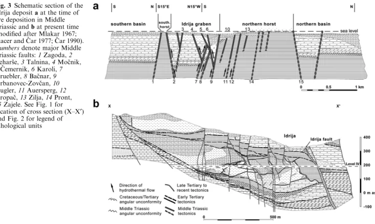 Fig. 3a) in a Ladinian olisthostrome (Placer and Cˇar 1977). This orebody is interpreted as having formed by hydrothermal impregnation of the unlithiﬁed sediments (Cˇar 1985)