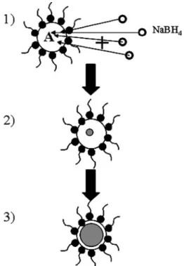 Fig. 12. TEM micrograph and size distribution of Pt DENs synthesized by the dendrimeric method