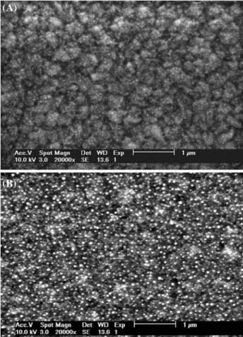Fig. 5. SEM pictures of gold deposits on polycrystalline BDD sub- sub-strate heated at 600 C as a function of the deposited amount of gold: (A) 9.6  10 15 , and (B) 1.9  10 16 gold atom per cm 2  geometri-cal surface area, obtained with sputtering times of