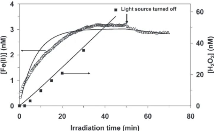 Figure 5. Experimental data (symbols) and modeling results (solid lines) of the concentrations of Fe(II) and H 2 O 2 during and after  irradiation with simulated sunlight (I 0 ~0.5 kW m –2 ) of LMW DOM (pH = 8.3) from site P3.