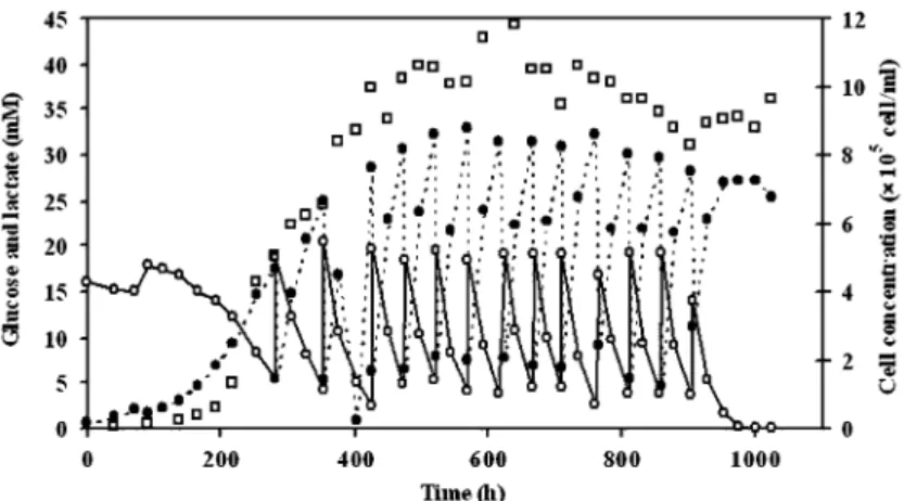 Fig. 6 Evolution of cell number ( h ), glucose ( s ) and lactate (•) concentration for a repetitive fed-batch culture of CHO cells encapsulated in semi-liquid core  microcap-sules