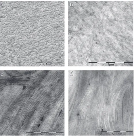 Fig. 2. TEM micrographs of the four different PPV-PS block copolymer systems considered: a) PS82, b) PS65, c) PS56, d) PS52