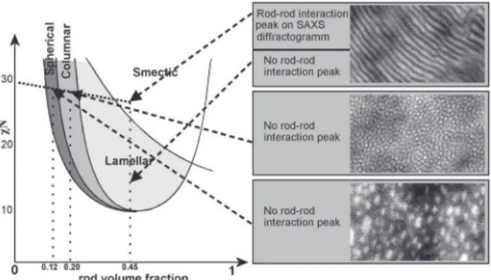 Fig. 7. Comparison between the phase diagram predicted by Landau expansion theories for rod-coil block copolymers with ω/χ ratio of the order of 1 and the microphase separated  mor-phologies experimentally observed for P4VP-PS block  copoly-mers
