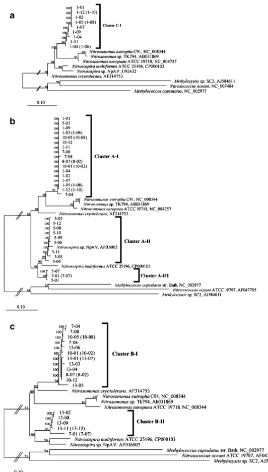Fig. 6 Phylogenetic tree based on AmoC (a), AmoA (b), and AmoB (c) sequences obtained from the Baltic Sea water–