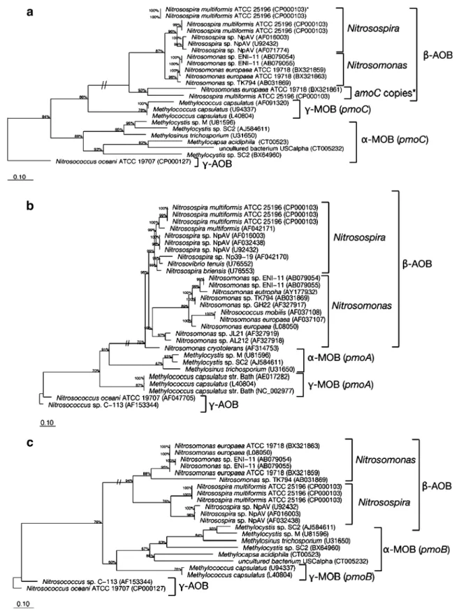 Fig. 1 Phylogenetic tree based on AmoC (a), AmoA (b), and AmoB (c) sequences using all complete sequences of cultured representatives of ammonia-oxidizing bacteria (AOB)
