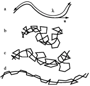 Fig. 1 a Sketch of the contour path of a chain and the physical meaning of the orientation vector u of a segment on the contour path and the average chain stretch k