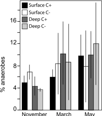 Figure 3. Spatial and temporal variation of the anaerobic biomark- biomark-ers relative to the total fatty acid concentrations in the top (0–5 cm  depth) and deep (15–20 cm) layers of the C+ and C– fi lters as  aver-age (n = 3).