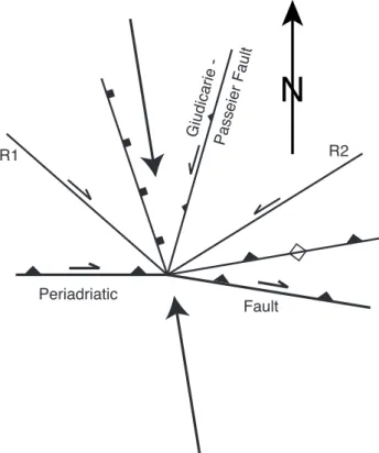 Fig. 5 Summary of fault orientations related to the dextral transpressive Periadriatic fault system from the  Mauls-Plattspitz-Ochsensprung area (original data in Stöckli 1995 and  Grolli-mund 1996)