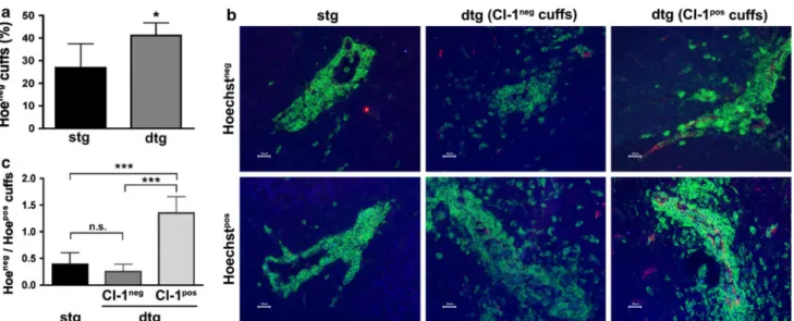 Fig. 5 TET-regulated claudin-1 induces BBB tightening for Hoechst dye in chronic EAE. At the end of an EAE experiment (day 50 p.i.), Hoechst dye was injected intravenously into 6 single and 4 double transgenic Tie2-tTA//TRE-claudin-1 mice