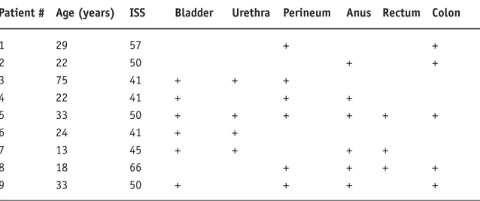 Table 1. Associated abdominal injuries after traumatic hemipelvectomy. ISS: Injury Severity  Score [5].