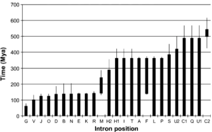 Fig. 3. Plot showing time intervals during which introns were probably inserted. In the case of introns common to the two  par-alogues, a number indicates the paralogue holding the intron