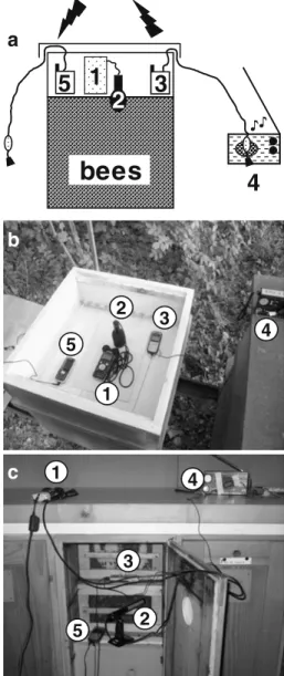 Figure 1. Apparatus positioning in the different hives.