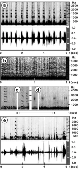 Figure 4. Mobile phone-induced honeybee worker piping. Various modes of worker piping (a – e) were recorded in the presence of actively communicating mobile phone handsets in the hive