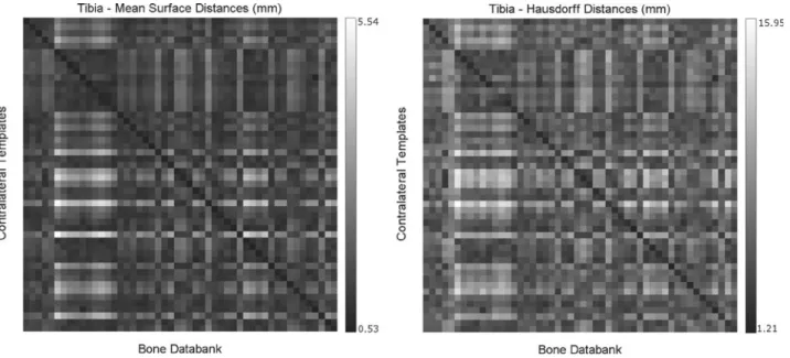 Figure 3 shows three-dimensional views of the results for the best match, the second best, and the
