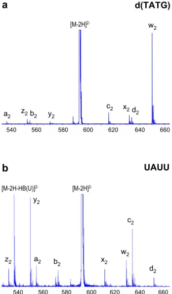 Figure 1. Comparison of the product ion spectra of DNA and RNA. (a) Product ion spectrum of the deoxyribonucleotide d(TATG), obtained by dissociation of the [M-2H] 2⫺ precursor ion with m/z 593.13