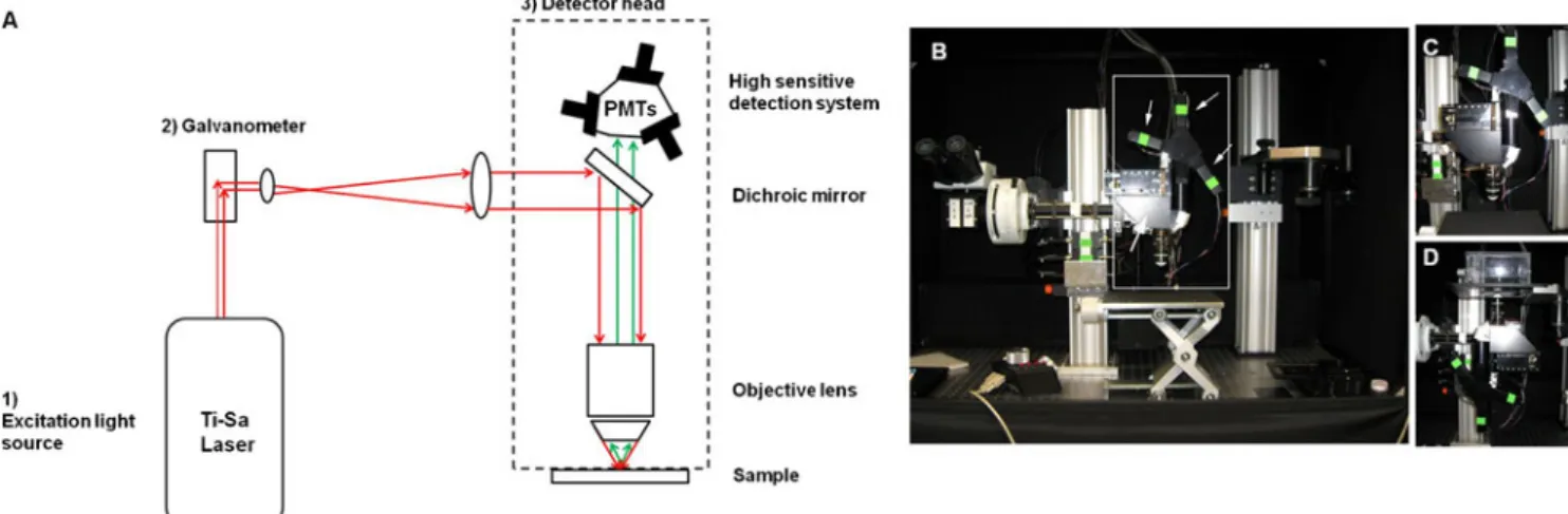 Figure 2 Schematic of the three basic components of an MPM and an image of our versatile custom-built microscope