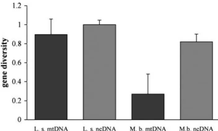 Fig. 2b). Hence, isolation by distance was only evident for females and only for nuclear loci