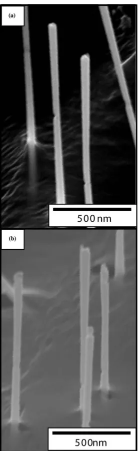 Fig. 4. SEM images of CdTe nanowires (a) and NiFe nanowires (b) separated from the nano-porous anodized aluminum oxide layer.