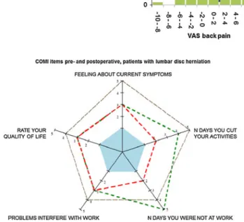 Fig. 12 Improvement of COMI domains from preoperative to \ 3 months and 3–6 months FU