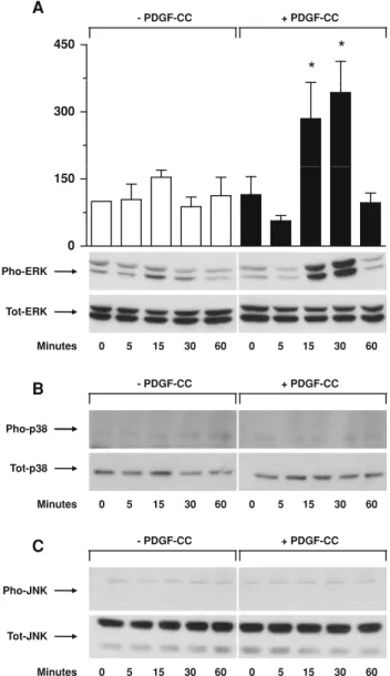 Fig. 5c), did not affect PDGF-CC induced TF expression.