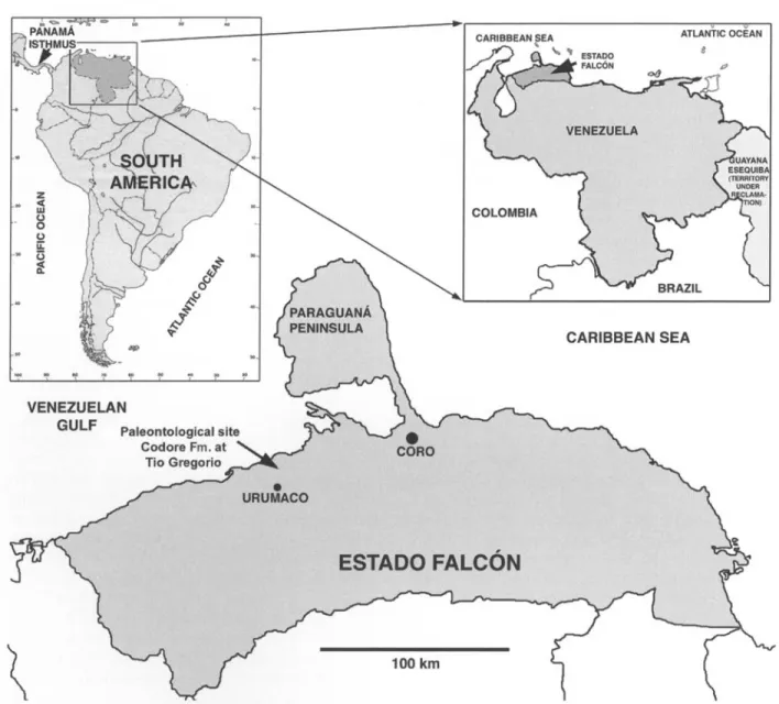 Fig.  1.  Map showing the  locality where the type specimen  of  Boreostemma pliocena  n