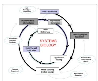 Figure 1. Systems biology process. This process  re-lies on an iterative  proce-dure of model building,  ex-perimental verification, model analysis and model refinement