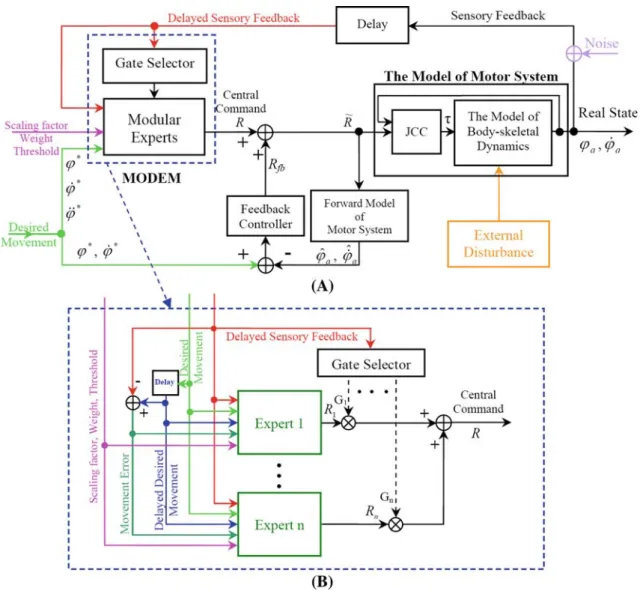 Fig. 1 A Schematic of whole system including the MODEM. The motor control system is including the MODEM, the Forward Model of Motor System and the Feedback Controller; the Feedback Controller is described by Eq