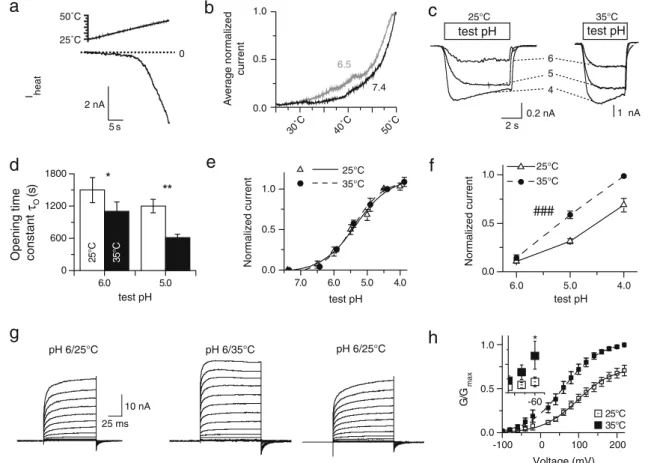 Fig. 4 Proton-induced currents of cloned TRPV1 are temperature dependent. TRPV1 currents were measured from CHO cells stably expressing TRPV1 (and from transiently transfected HEK cells for the voltage dependence), in whole-cell voltage clamp to − 60 mV in
