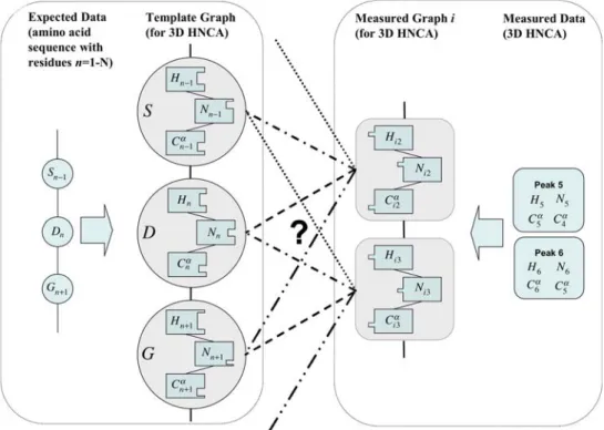 Fig. 1 Representation of protein sequence-specific resonance assign- assign-ment by two types of graphs describing expected and observed data, respectively