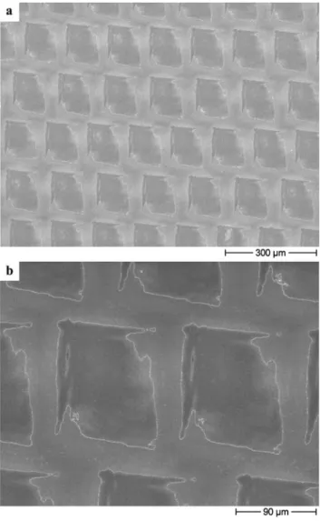 Fig. 1 Scanning electron micrograph of a wide view (top) and an en- en-larged view (bottom) of ablation spots produced with a 200 fs pulse of 800 nm wave length in an amorphous Ta 42 Si 13 N 45 film on a silicon substrate