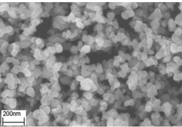 Fig. 2 A scanning microscopic image of the Si nanoparticles produced by the hot-wall reactor