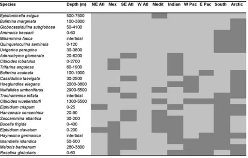 Table 1 Twenty-five of the most globally distributed species of benthic forminifera (adapted from Murray 1991)