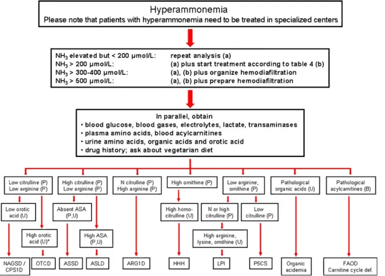 Fig. 3 Algorithm for the management of hyperammonemia in a newly recognized patient. Algorithm for the management of  hyper-ammonemia in a newly recognized patient and for interpretation of first laboratory results