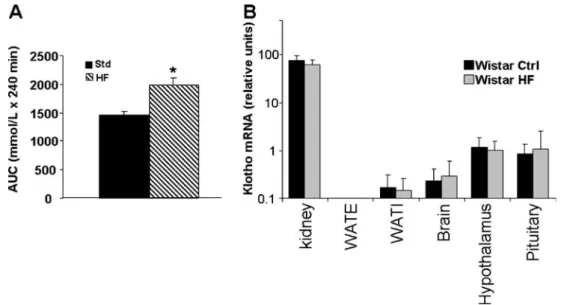 Fig. 3 Effect of pioglitazone treatment on renal klotho expression in obese Zucker rats