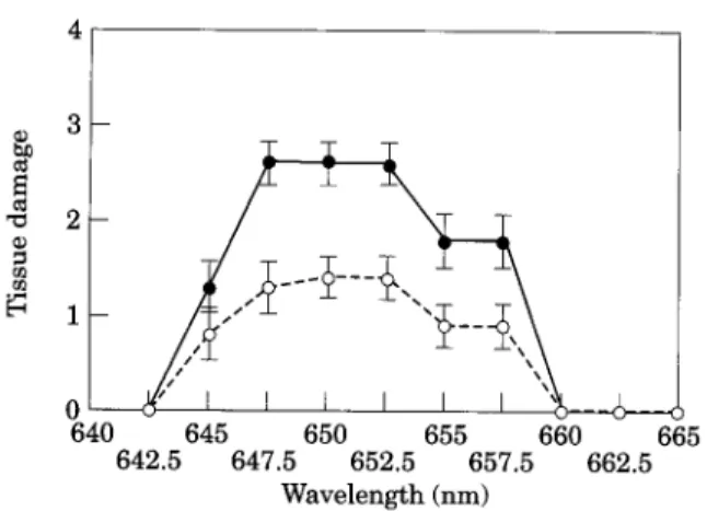 Fig.  3.  The in vitro  absorption  spectrum  of 5 ~M mTHPC  in  phosphate-buffered  saline (PBS) solution  supplemented  with  10% bovine serum  (o) as well as the in vivo 