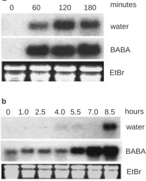 Figure 4. PR1 expression after abiotic stress. Effect of BABA treatment on the expression of PR1 during a mild heatshock (a) and a strong salt stress (b)