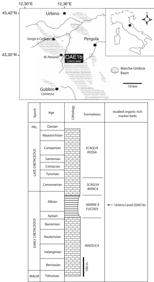 Fig. 1 Location and strati- strati-graphic column of the Urbino  outcrop at Monte Petrano  (Marche-Umbria Basin, central  Italy)