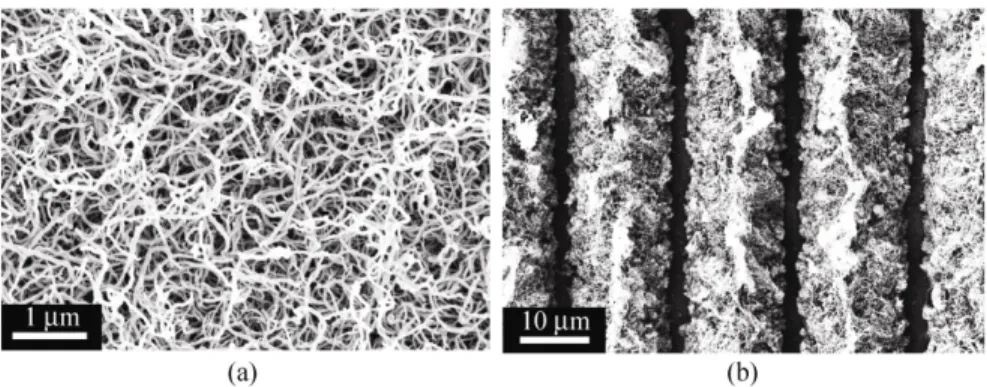 Figure 1  Scanning electron micrographs: (a) topography of silicone nanofilament coating; (b) laser-ablated lines 1–1.5  μm in width with a separation of approximately 15 μm 