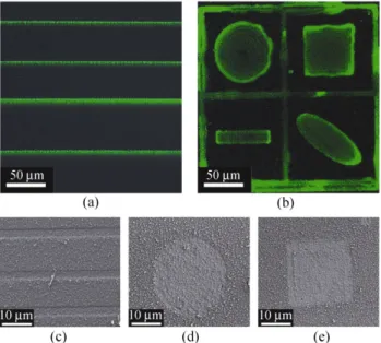 Figure 2  Production of various hydrophilic patches: (a, b) fluore-  scent dye solution absorbed on hydrophilic regions (c, d, e) SEM  images of various laser-ablated regions 
