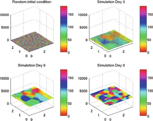 Fig. 8 Snapshots of the cell density at different times. At each point ( x , y ) in the computational domain, the marginal angular density of C is shown, that is the number of cells at position ( x , y ) and time t; the color represents the angle for which