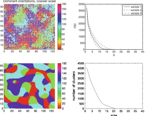Fig. 9 Comparison of simulation (bottom) with experiment (top). Here color indicates the local dominant orientation of the cells