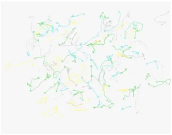 Fig. 2 Tracking of individual cells at density 20,000 cm −2