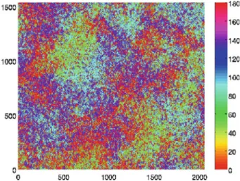 Fig. 4 The effect of Gabor filtering when applied to Fig. 1. The color indicates the dominant local direction of alignment (color figure online)