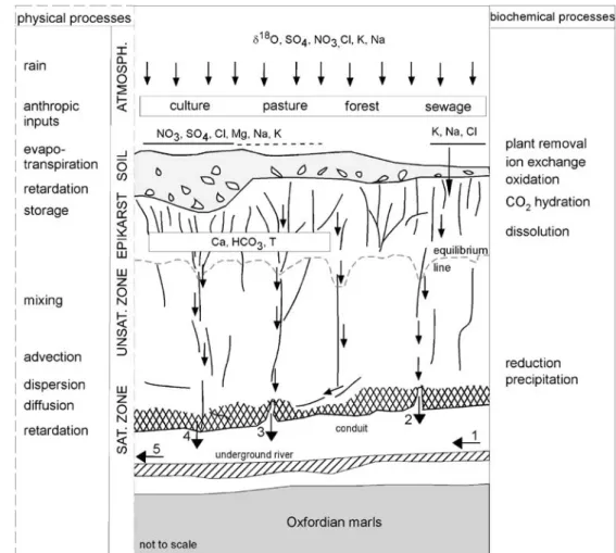 Fig. 9 Conceptual model of solute transport at Milandre test site. Observation points (i.e.