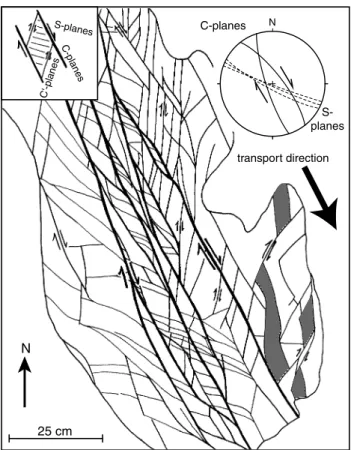 Fig. 5 Outcrop sketch (map view) of a cataclastically deformed fault zone at the NW–SE striking nappe contact of the Pienides against the autochthonous cover of Tisza-Dacia (see Fig